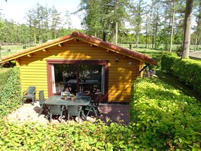 Huur een 6-persoons Scandinavische bungalow