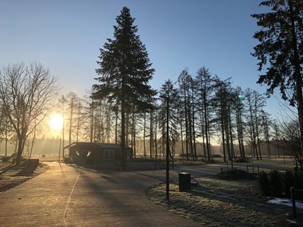 114 ochtendzon