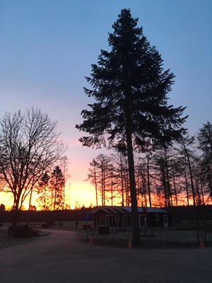 ochtendgloren