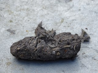 DSC00357