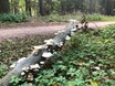 herfst 1 2022