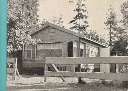 80-6