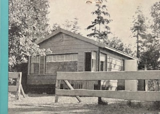 80-6
