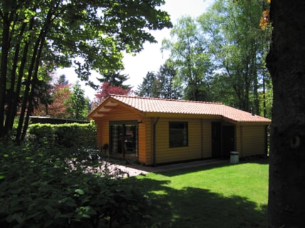 80-9