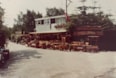 80-20