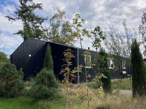 Bungalow 