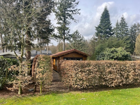 vakantie in Lage Vuursche, binnen kijken in één van de Scandinavische Bungalow op Bungalowpark ”De Spar”.
