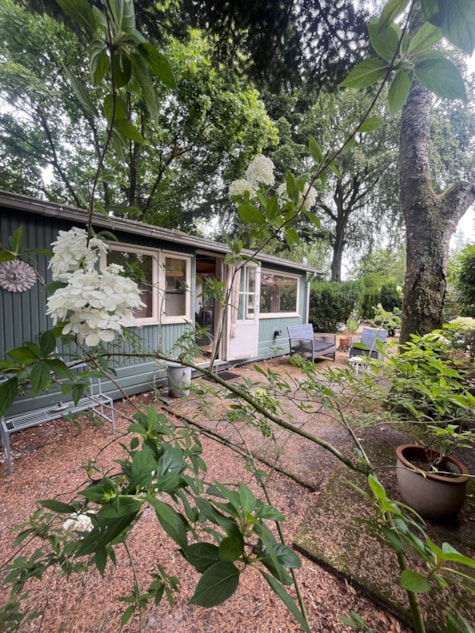 Zijkant tuin