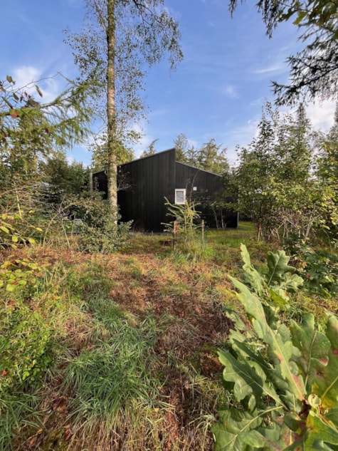 Bungalow 46